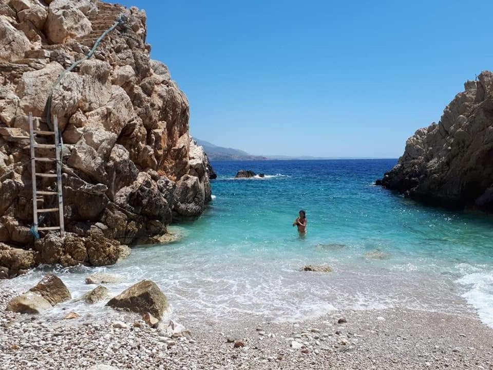 Adia Kathys Island Retreatアパートホテル エクステリア 写真