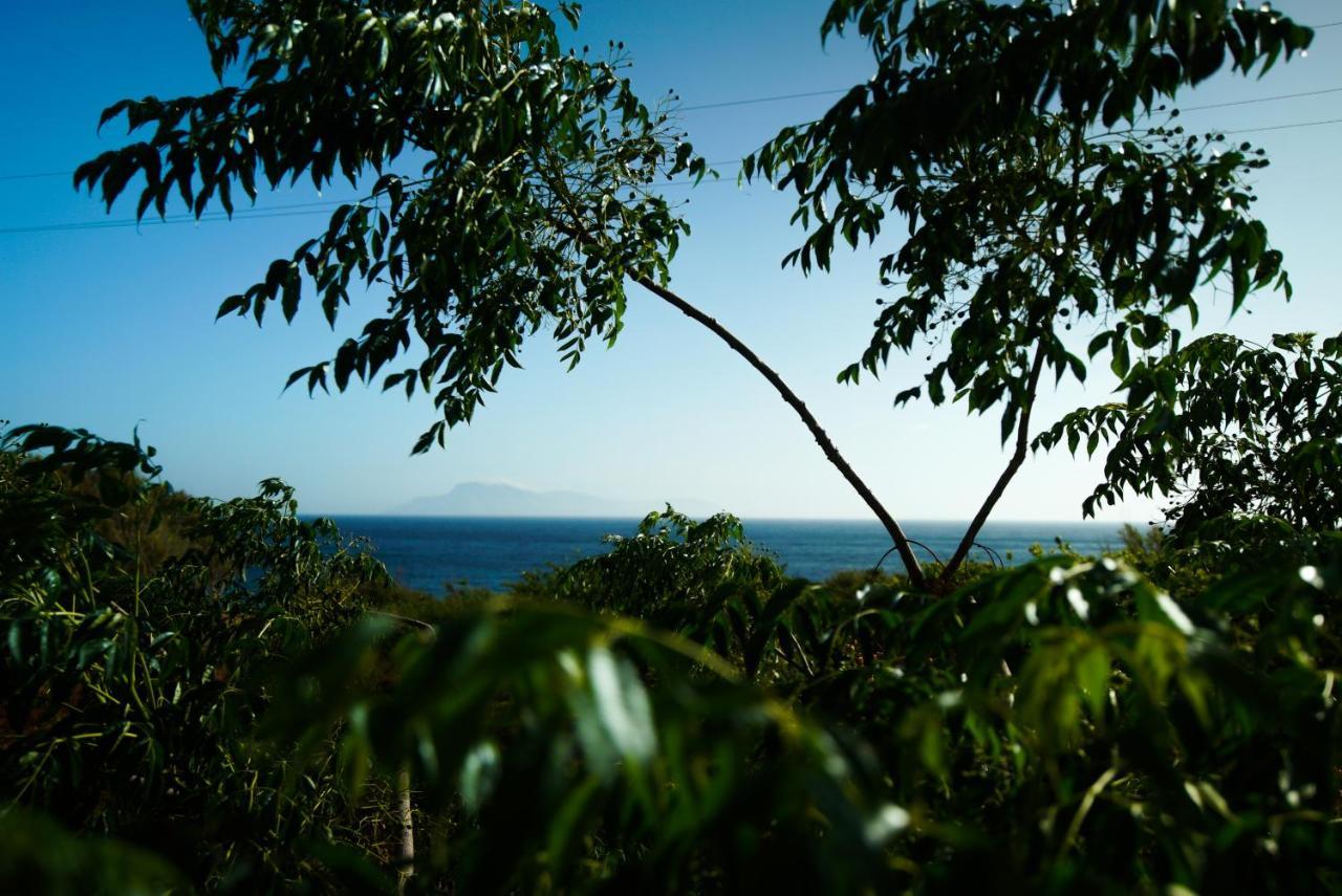 Adia Kathys Island Retreatアパートホテル エクステリア 写真