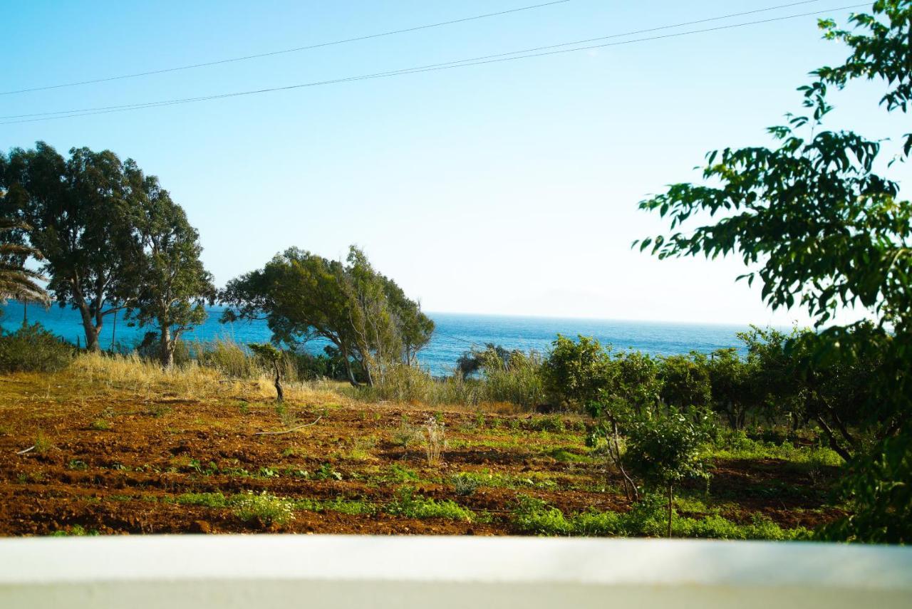 Adia Kathys Island Retreatアパートホテル エクステリア 写真