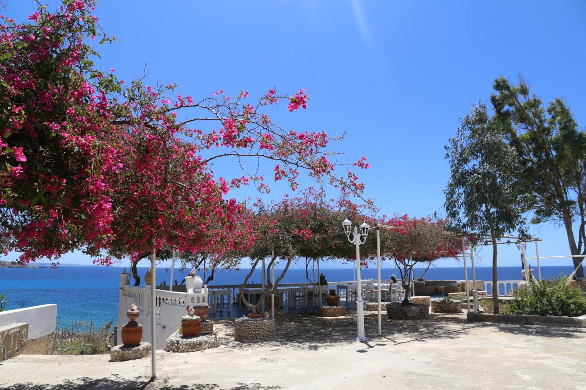 Adia Kathys Island Retreatアパートホテル エクステリア 写真